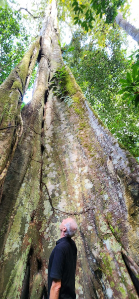 Michael Hall am großen Baum